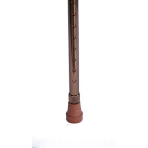 Bastón Cuello de Cisne con Correa