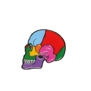 Pin Cráneo Multicolor