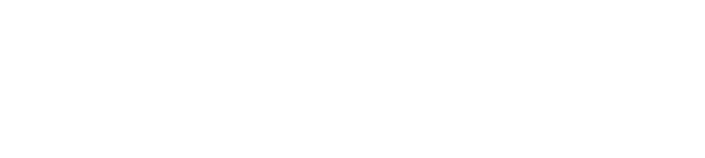 Líneas Hospitalarias, Ortopédicas