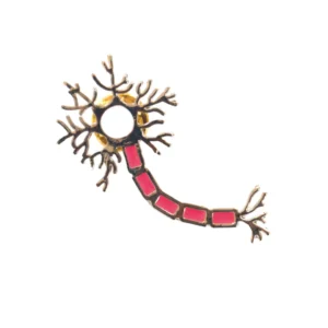 Pin Neurona