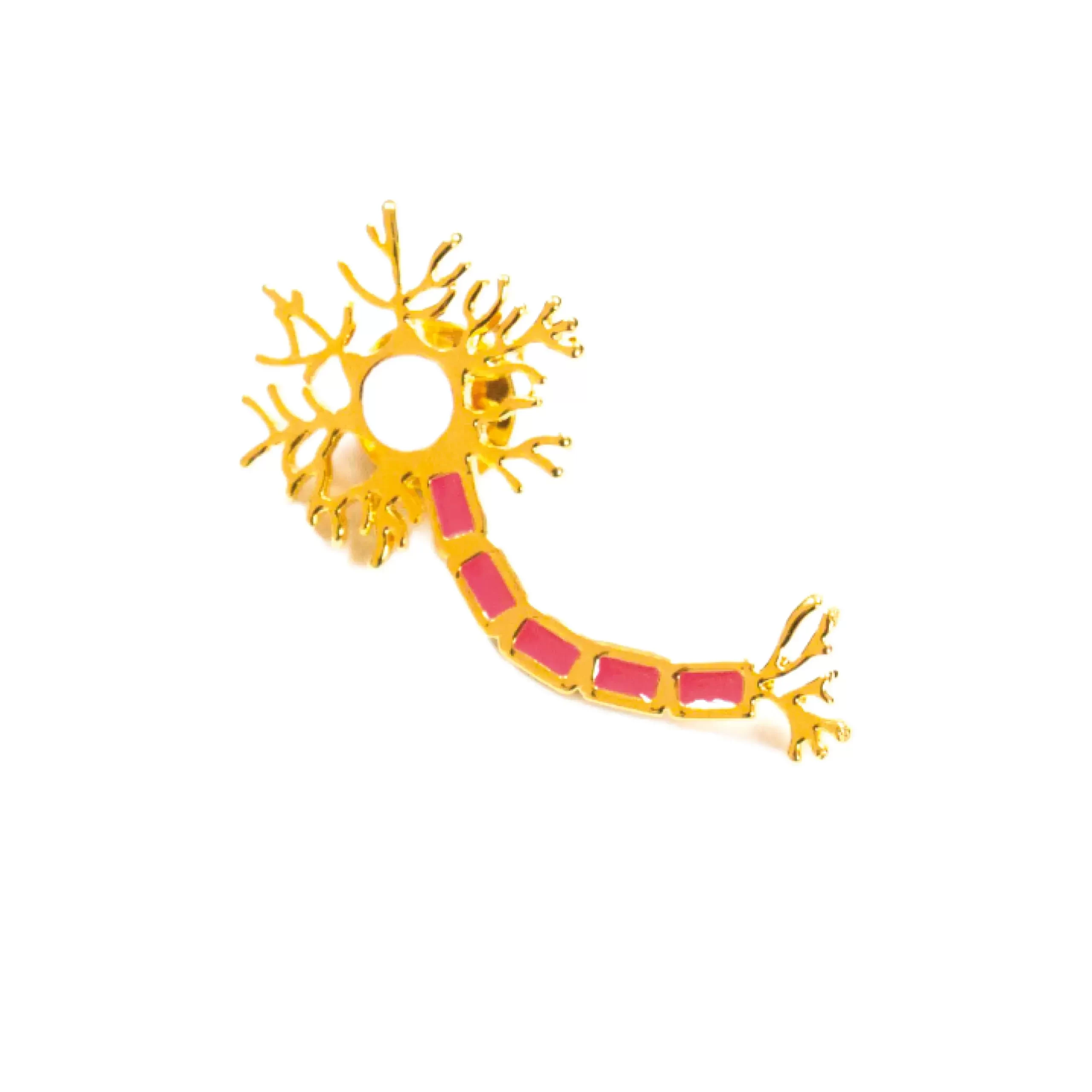 Pin Neurona
