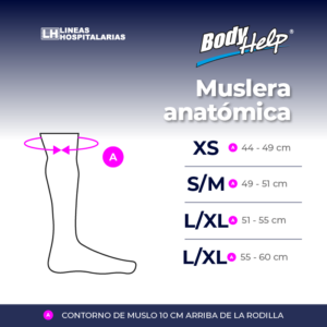 Muslera Anatómica