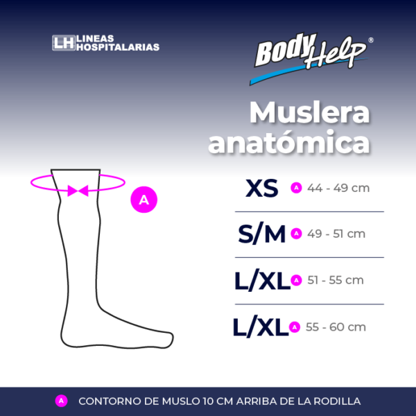 Tabla de medidas, Muslera anatómica