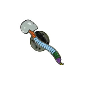 Pin Columna Vertebral Multicolor con Cráneo