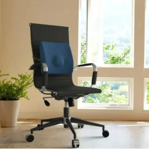Cojín Lumbar Therashape Azul -TM320