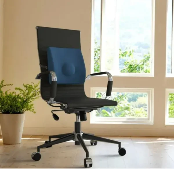 Cojín Lumbar Therashape Azul -TM320