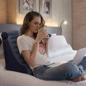 Cojín Desknza de Televisión Premium