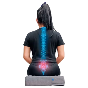 Cojín de Silla Multiusos