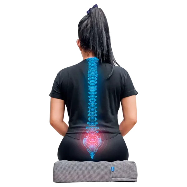 Cojín de Silla Multiusos