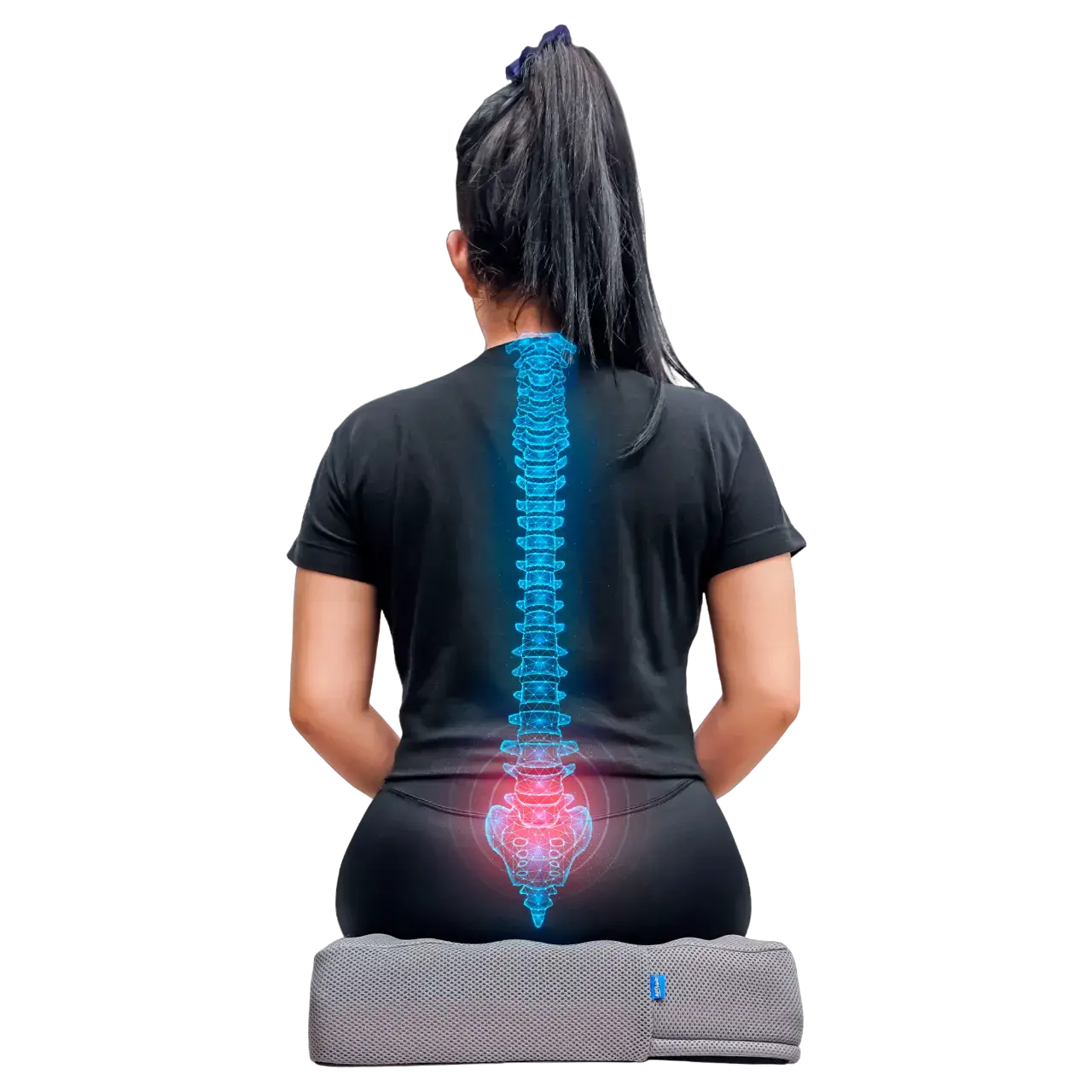 Cojín de Silla Multiusos