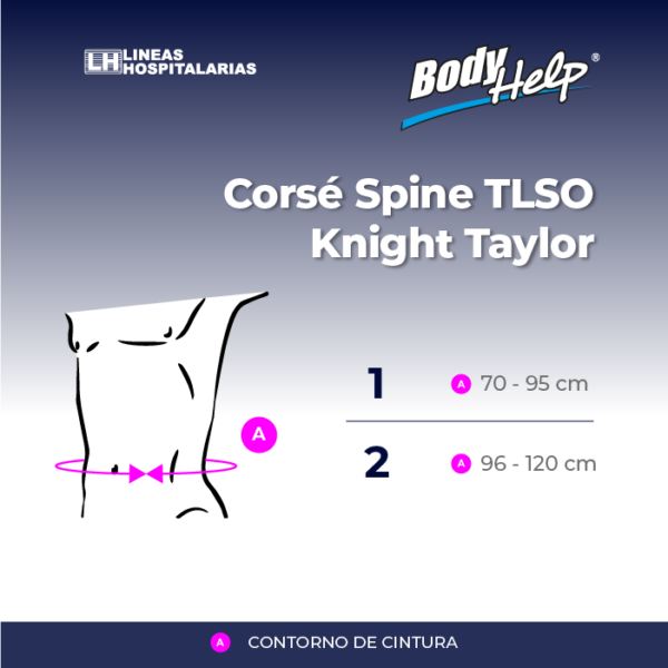 Corse Spine Tlso Knight Taylor